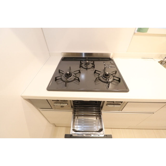 D-ROOM NISHIBARU A棟 (0203)の画像(19)