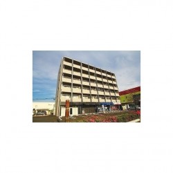 Graceful平成 (0401)