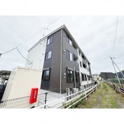 ルミノーソ (0305)