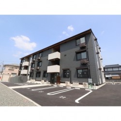 コウジィーコート (0305)