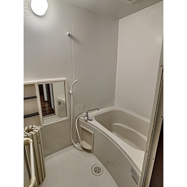 TYハイムⅠ (0201)の画像(6)