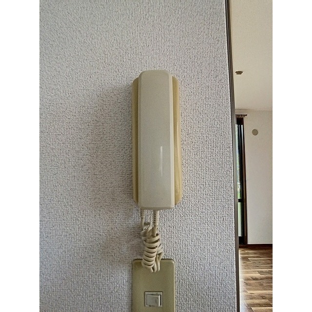 TYハイムⅠ (0201)の画像(12)