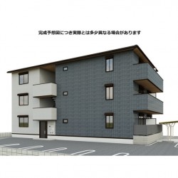 SOLANAⅢ (0202)