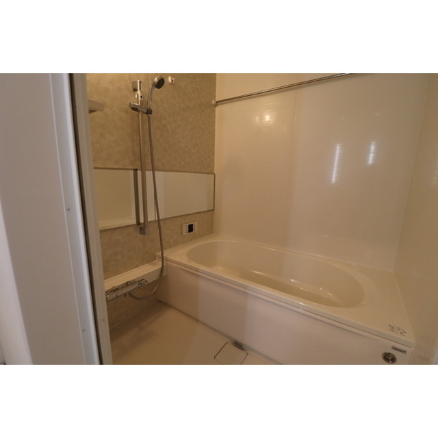 サンテ (0106)の画像(9)