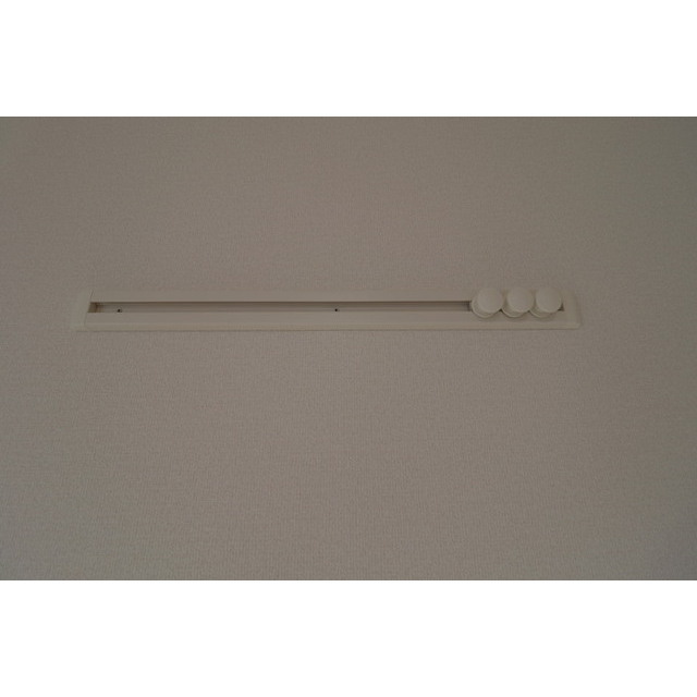 サンテ (0106)の画像(17)