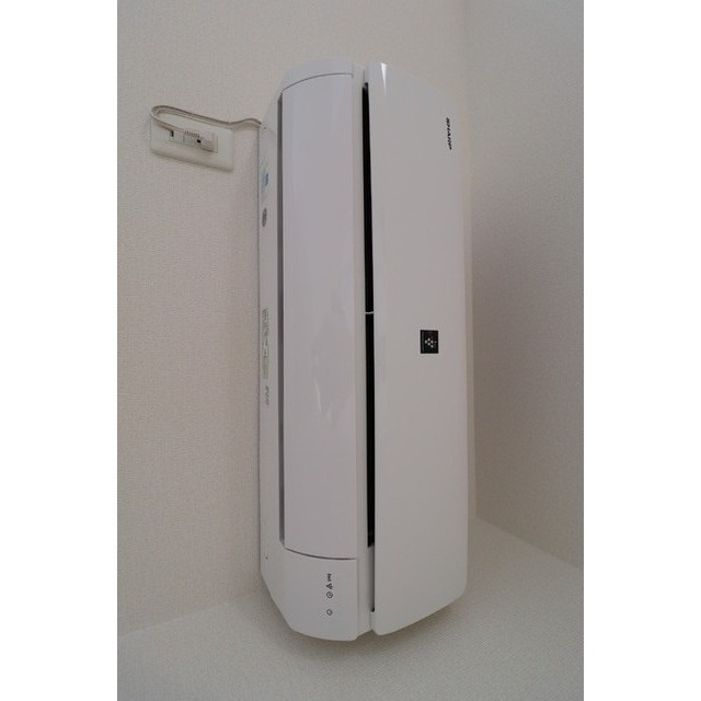 サンテ (0106)の画像(16)