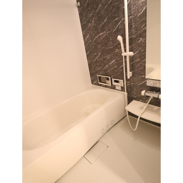 レガリア (0203)の画像(9)