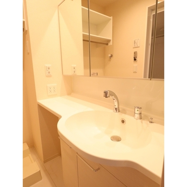 レガリア (0203)の画像(11)