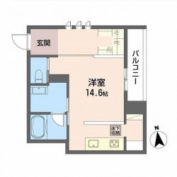 グランメゾン天神 (0101)