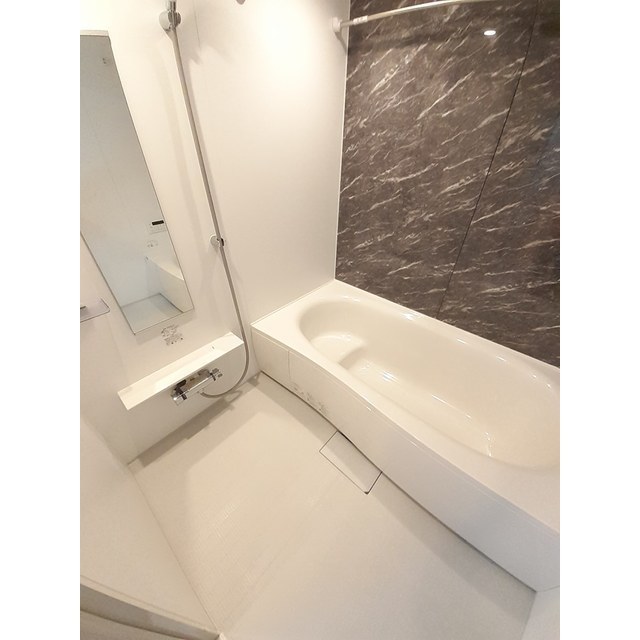 フリシュライツ (0103)の画像(8)