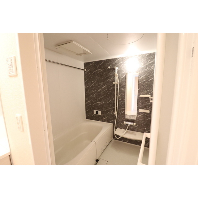 グランステラ (0305)の画像(9)