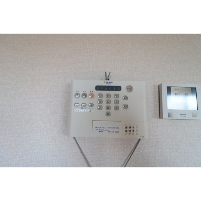 グランステラ (0305)の画像(14)