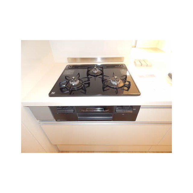 サンプレミアス (0104)の画像(14)