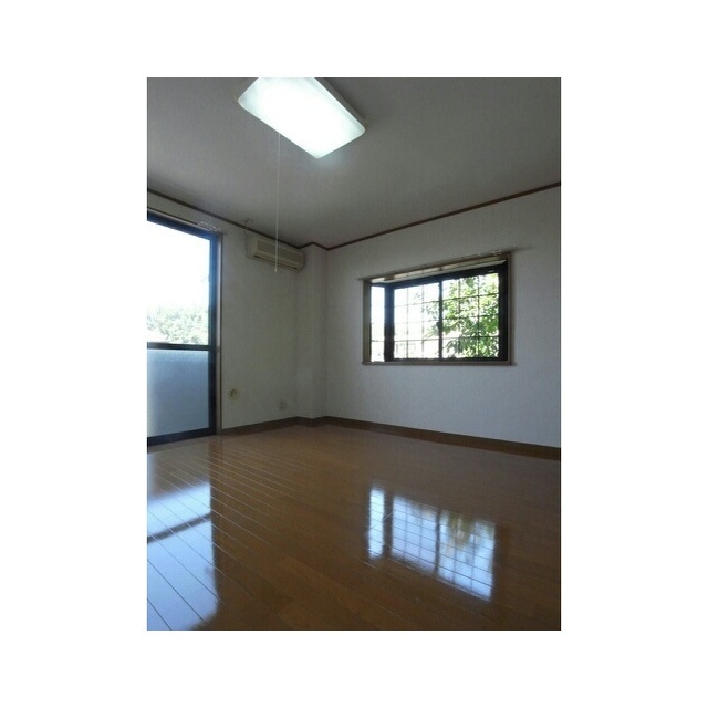 ドルチェ (0206)の画像(15)