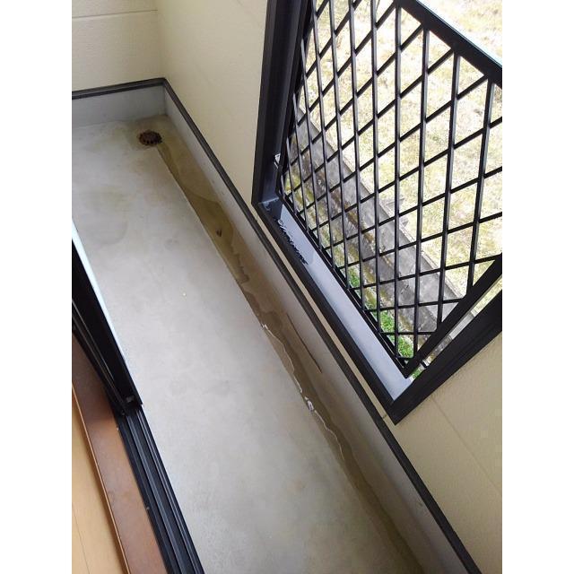 ネオ・シャトー (202)の画像(10)