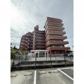 ロマネスク黒髪 603号