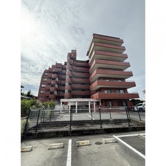 ロマネスク黒髪 603号