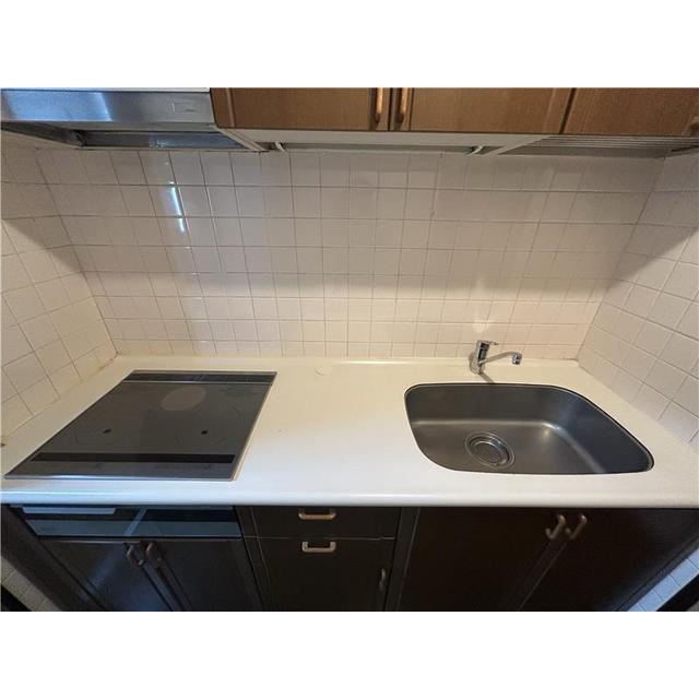 ロマネスク黒髪 603号 (0603)の画像(5)