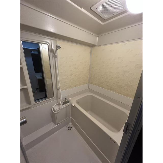 ロマネスク黒髪 603号 (0603)の画像(6)