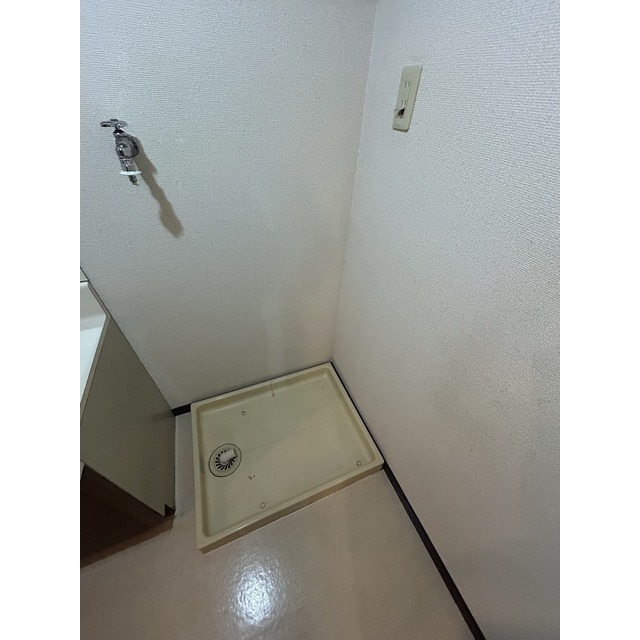 ロマネスク黒髪 603号 (0603)の画像(13)