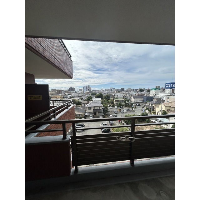 ロマネスク黒髪 603号 (0603)の画像(16)