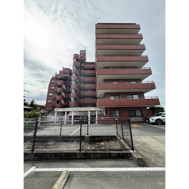 ロマネスク黒髪 603号 (0603)の画像(3)