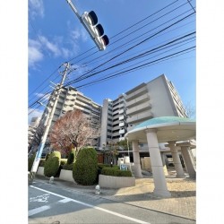 エイルマンション九品寺グランヴェール 1003号