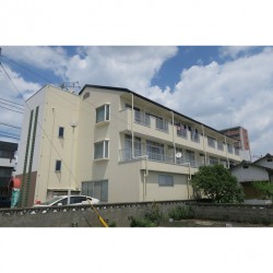 カクタス7 (0301)