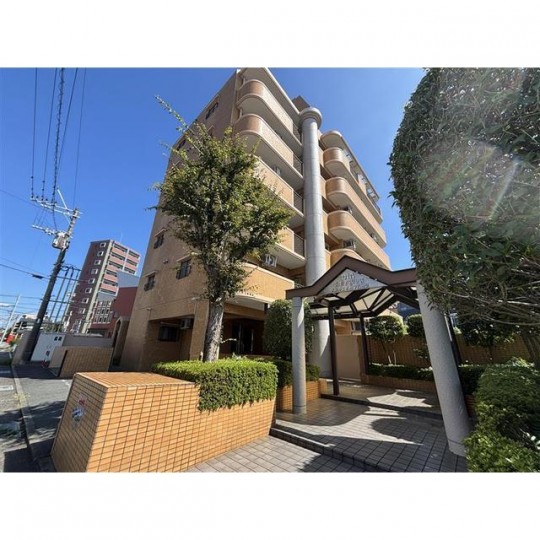 ダイアパレス水前寺スポーツパーク 503号