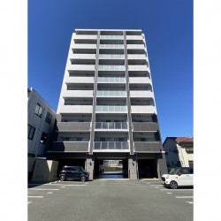 ステラクレロ (1003)