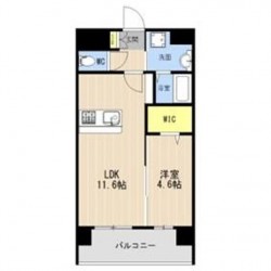 LIBTH菊陽227 (0802)