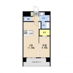 LIBTH菊陽227 (0702)