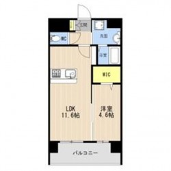 LIBTH菊陽227 (0602)