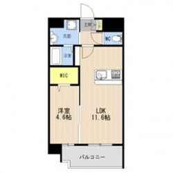 LIBTH菊陽227 (1001)