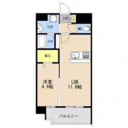 LIBTH菊陽227 (0701)