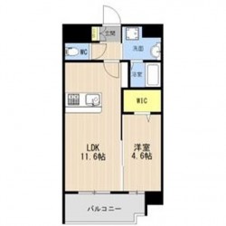 LIBTH菊陽227 (0706)