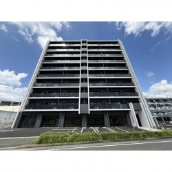 LIBTH菊陽227 (0905)