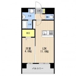 LIBTH菊陽227 (0305)