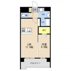 LIBTH菊陽227 (0704)