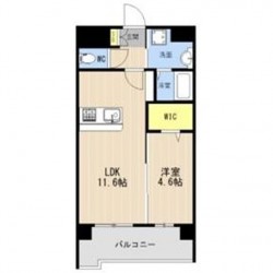 LIBTH菊陽227 (0404)