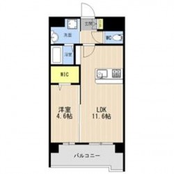 LIBTH菊陽227 (0703)