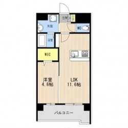 LIBTH菊陽227 (0503)