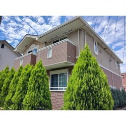 プラシード江津A