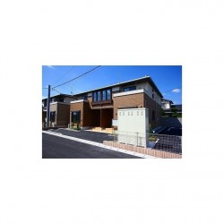 アンビシアンB (0101)