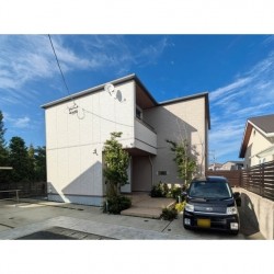 Shamaison BonneChance (0101)