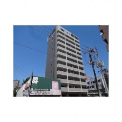 Primevere慶徳 (0603)