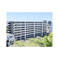 アルファスマート九品寺 0203号