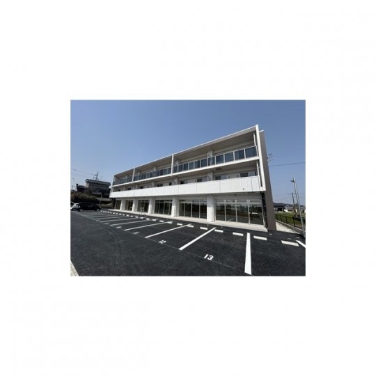 アルテミス泗水