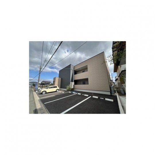 グローリー菊陽