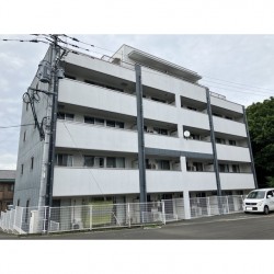 チェリーブロッサムⅢ